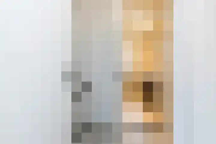 Akkermansdreef 6 Geleen thumbnail 27