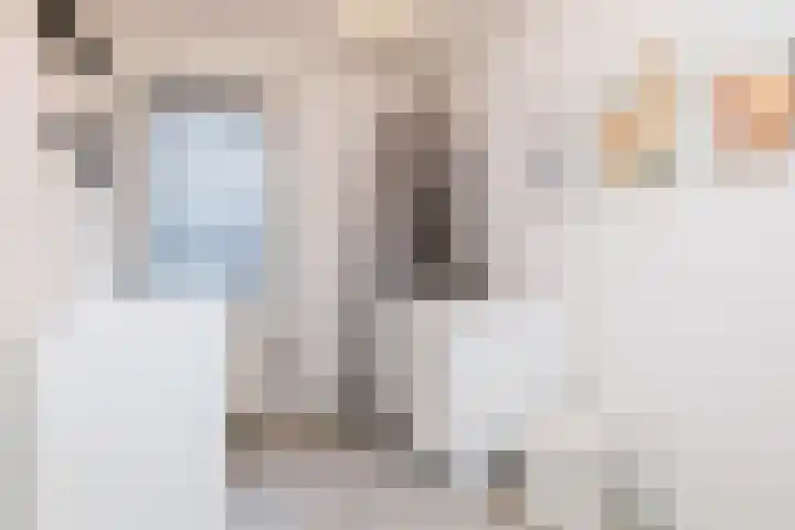 Akkermansdreef 6 Geleen thumbnail 33