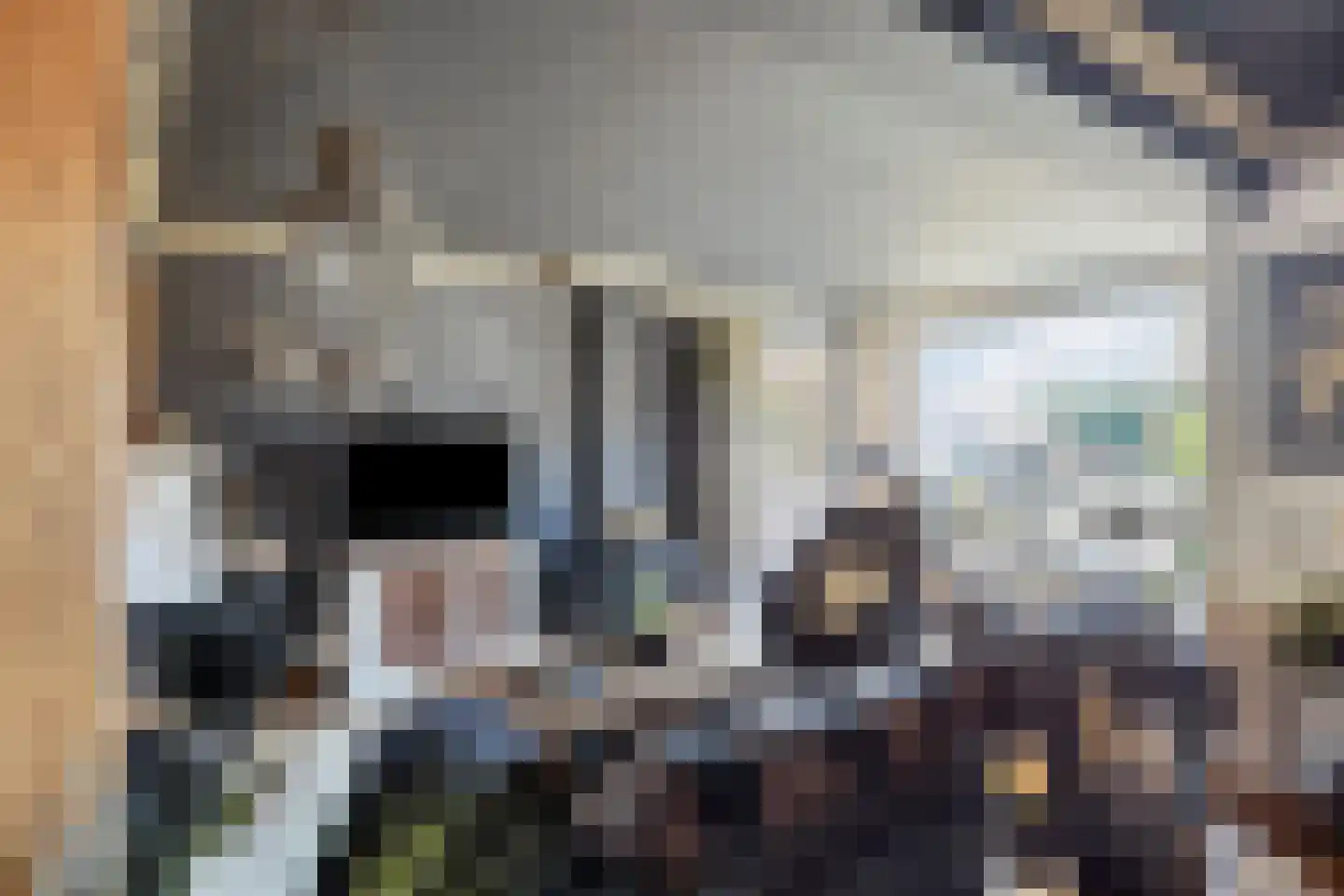 Akkermansstraat 35 Dongen thumbnail 14