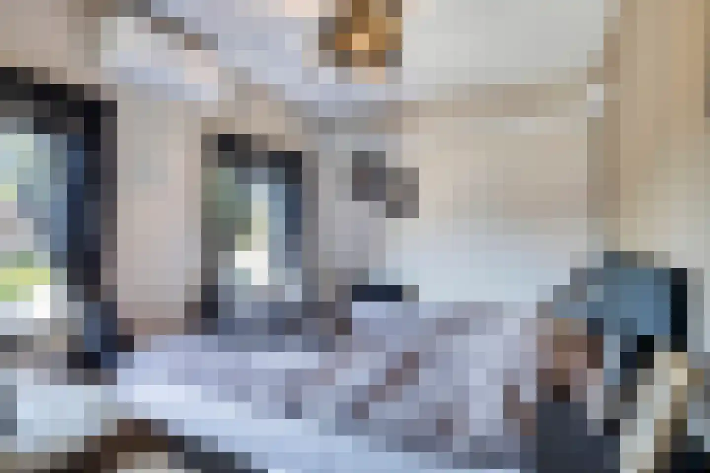 Akkermansstraat 35 Dongen thumbnail 27