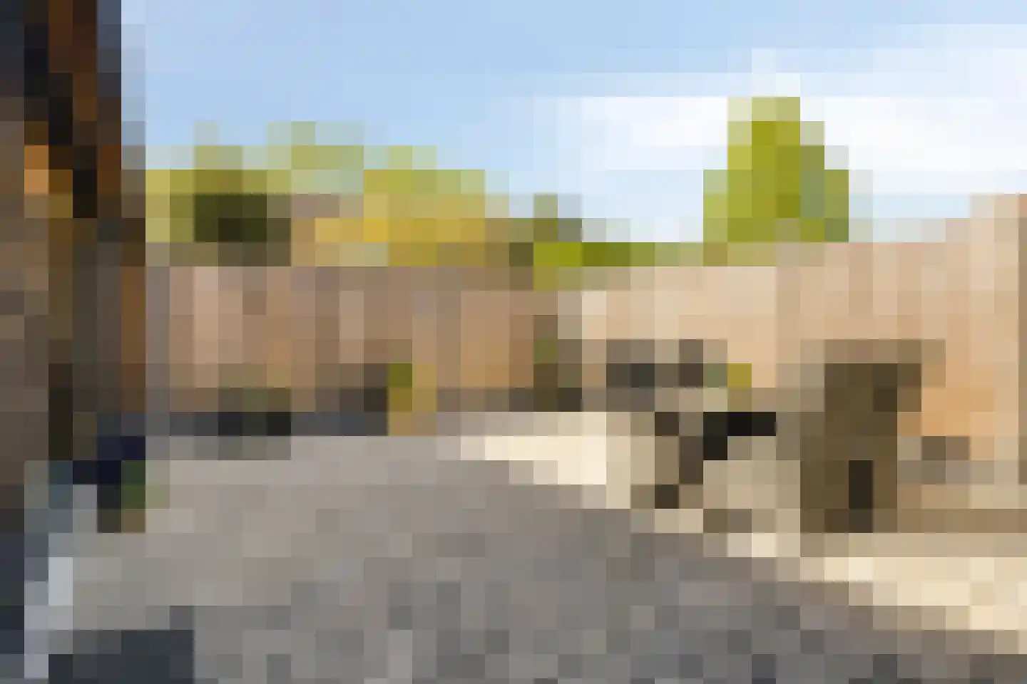 Akkermansstraat 35 Dongen thumbnail 31