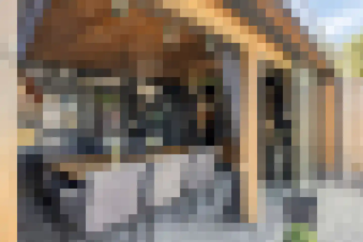 Akkermansstraat 35 Dongen thumbnail 34