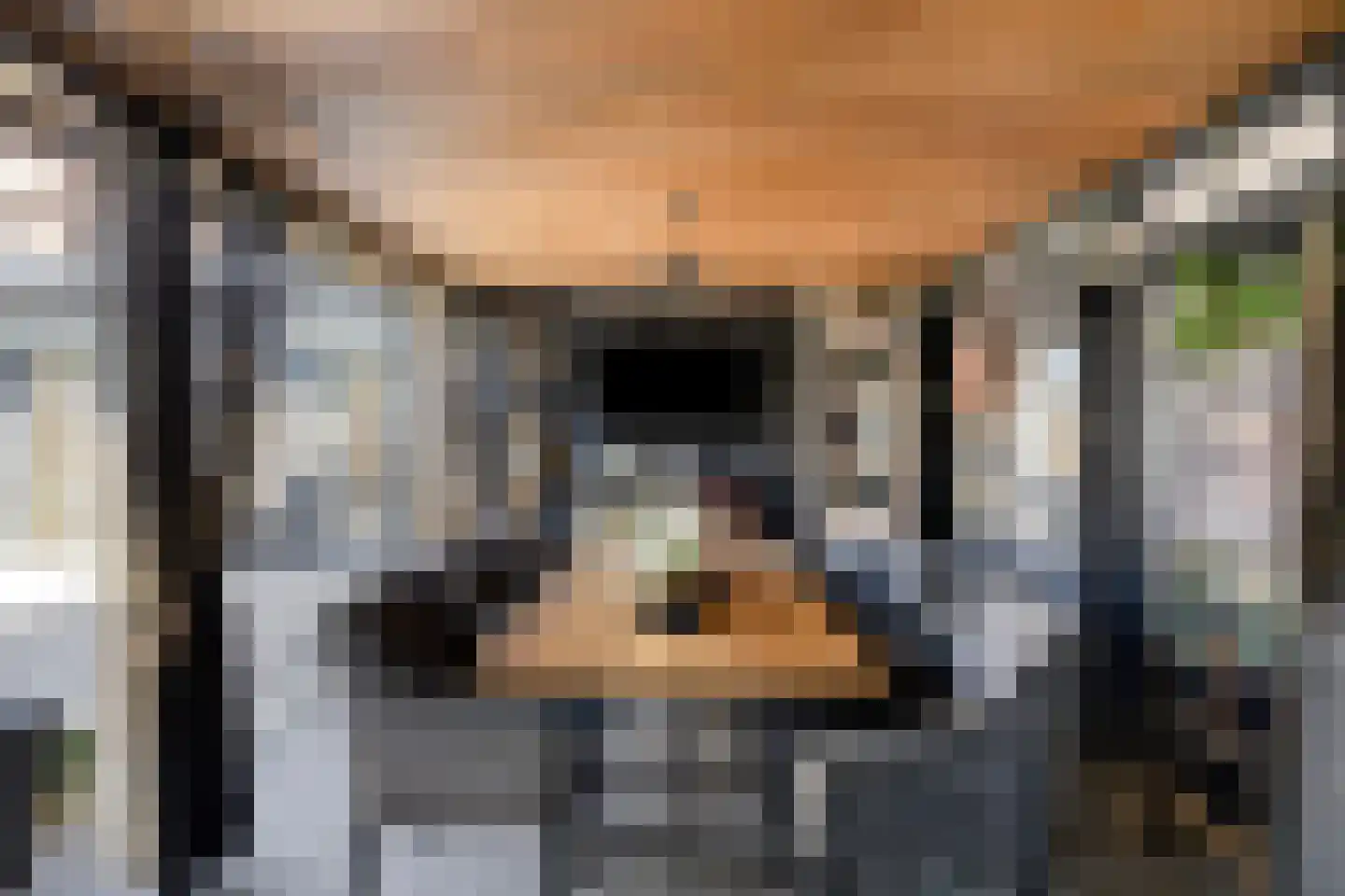Akkermansstraat 35 Dongen thumbnail 35