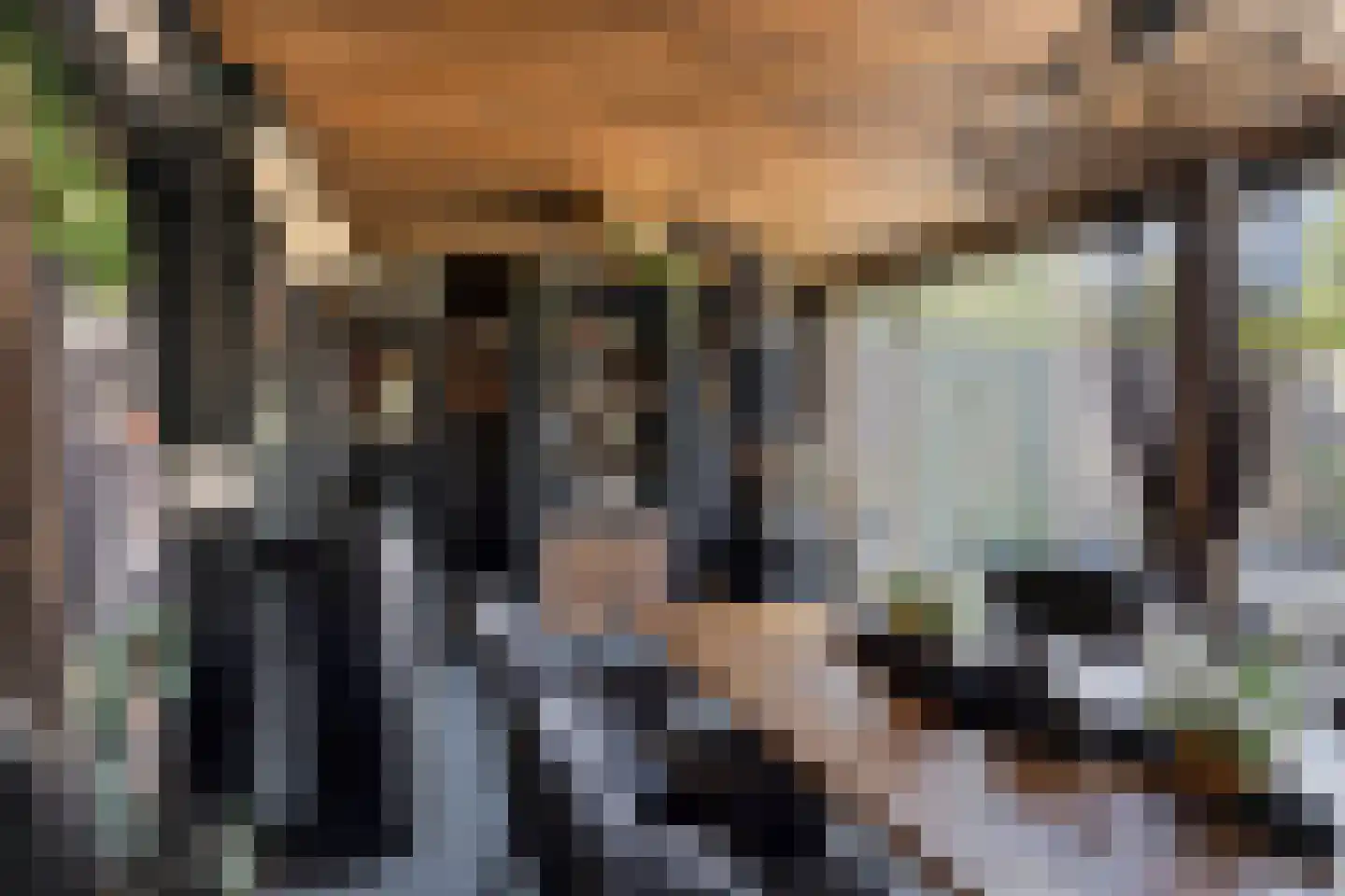 Akkermansstraat 35 Dongen thumbnail 36