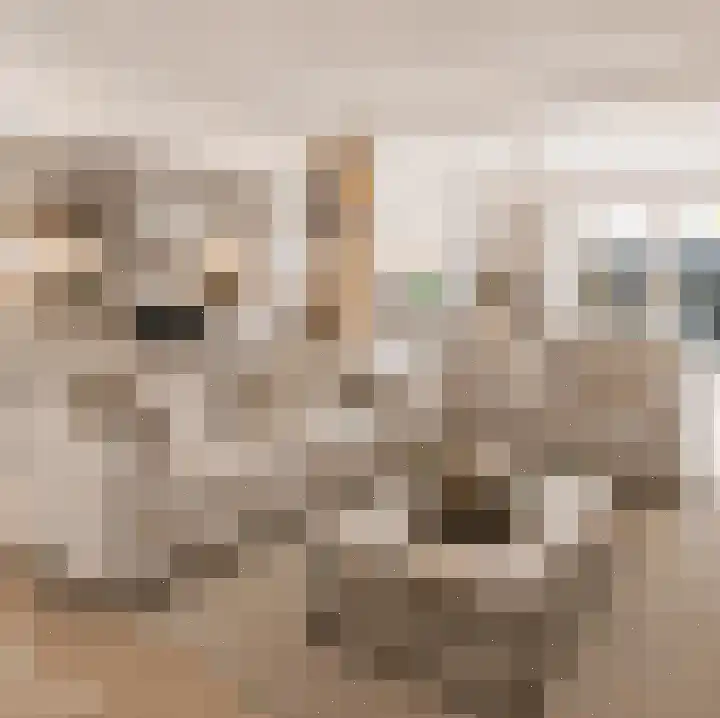 Akkermansstraat 35 Dongen thumbnail 47
