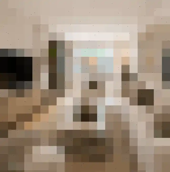 Akkermansstraat 35 Dongen thumbnail 48