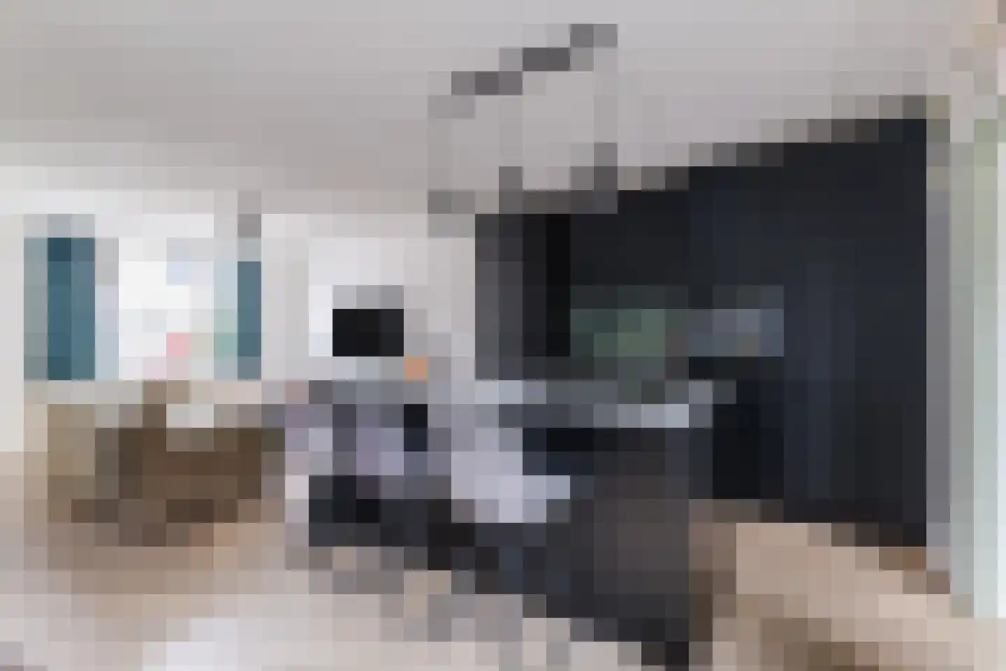 Akkermansstraat 7 Dongen thumbnail 12