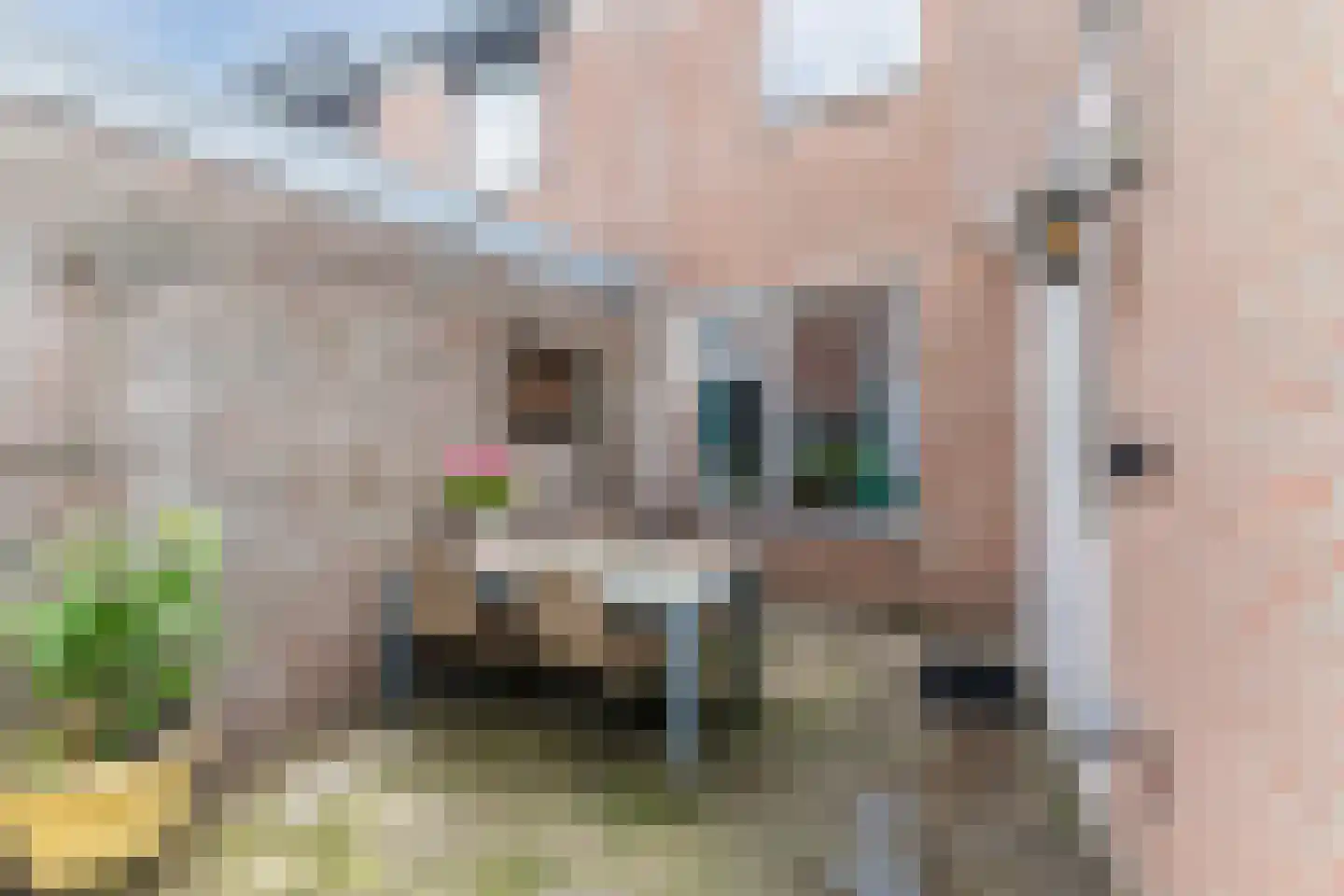 Akkermansstraat 7 Dongen thumbnail 16
