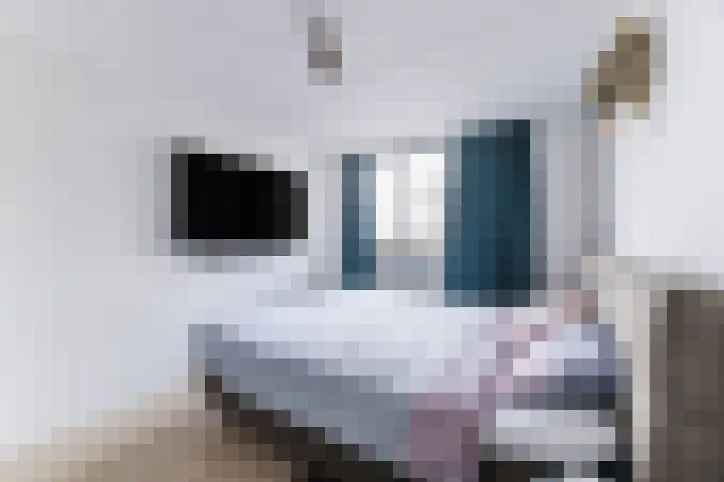 Akkermansstraat 7 Dongen thumbnail 19