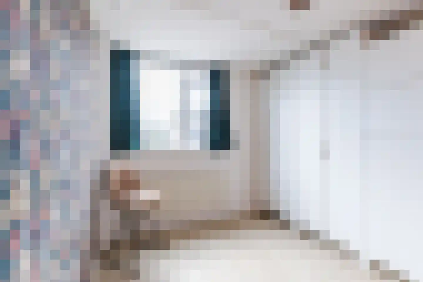 Akkermansstraat 7 Dongen thumbnail 23