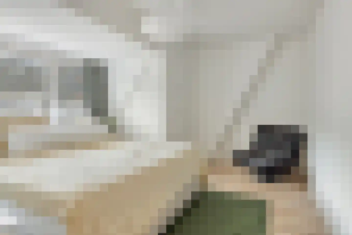 Akkermanstraat 10 B Rotterdam thumbnail 16