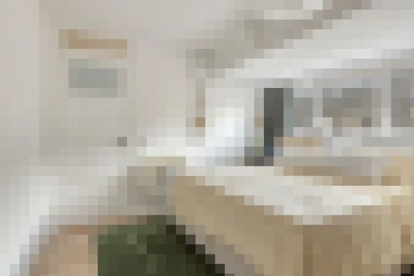 Akkermanstraat 10 B Rotterdam thumbnail 17