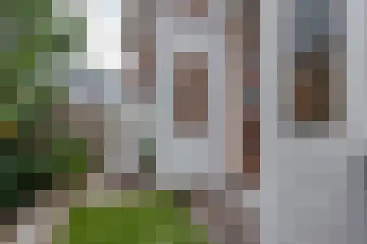 Akkermanstraat 7 A Rotterdam thumbnail 19
