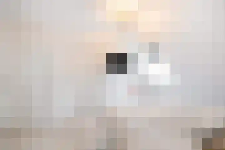 Akkermantje 10 Hippolytushoef thumbnail 17