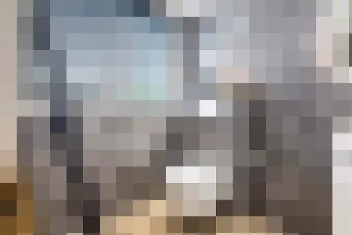 Akkermantje 10 Hippolytushoef thumbnail 22