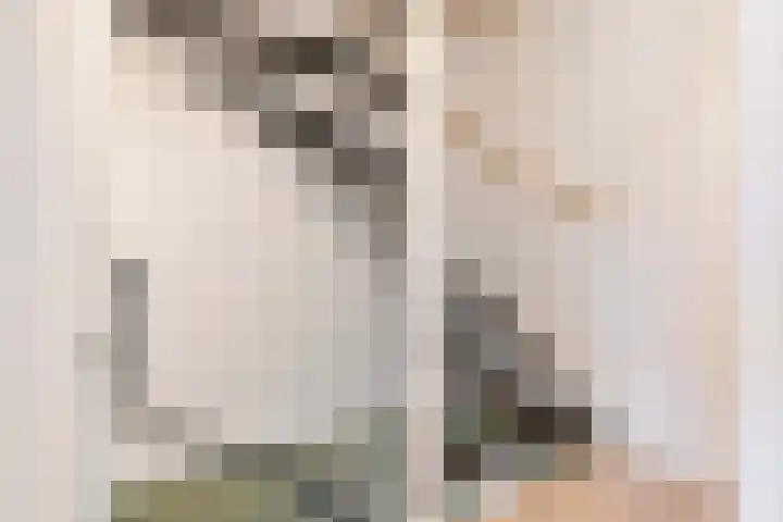 Akkermantje 10 Hippolytushoef thumbnail 23