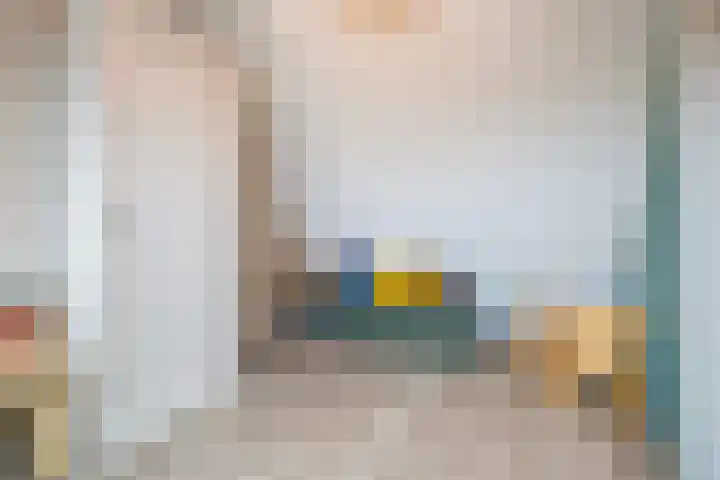 Akkermantje 10 Hippolytushoef thumbnail 27