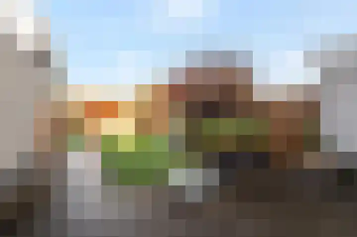 Akkermantje 10 Hippolytushoef thumbnail 30