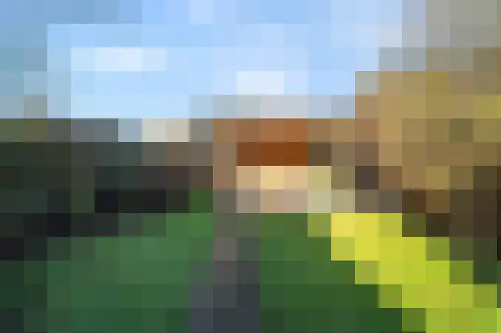 Akkermantje 10 Hippolytushoef thumbnail 31