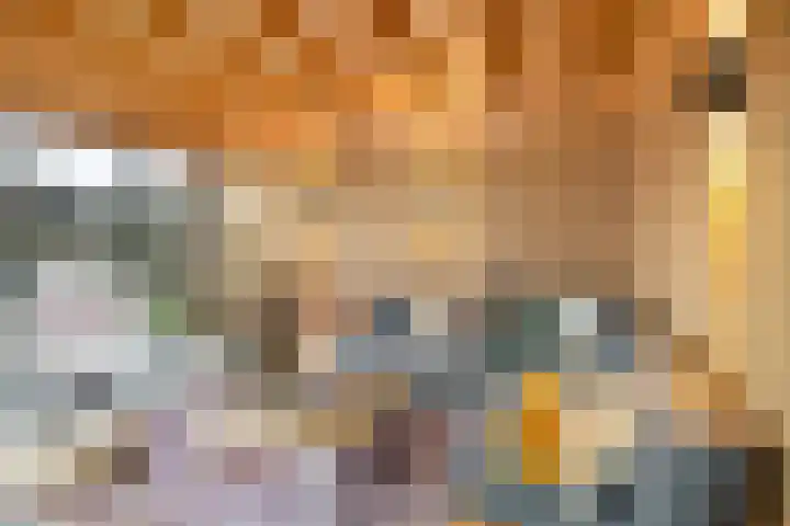 Akkermantje 10 Hippolytushoef thumbnail 32
