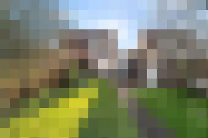 Akkermantje 10 Hippolytushoef thumbnail 34