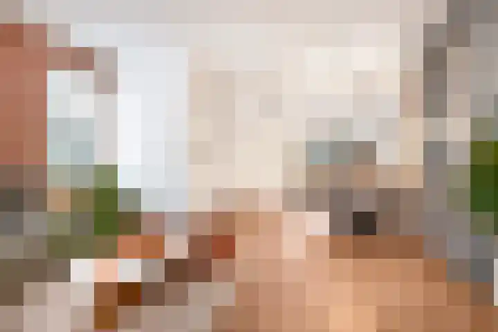 Akkermantje 10 Hippolytushoef thumbnail 9