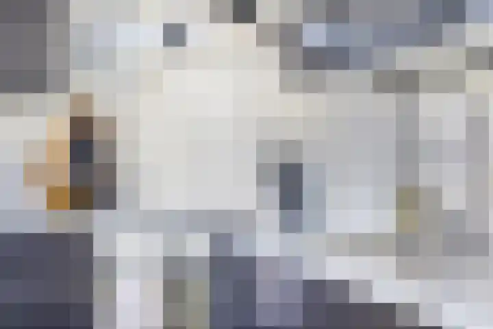 Akkermaten 12 Denekamp thumbnail 10