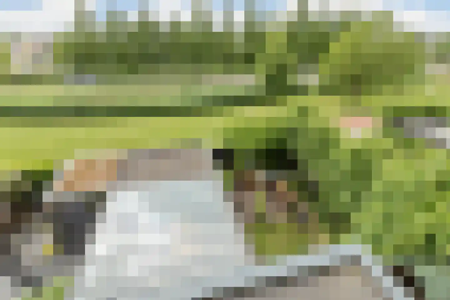Akkermunt 154 Bodegraven thumbnail 31