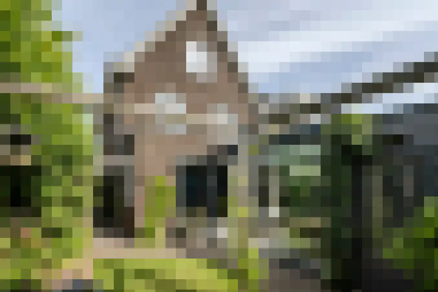 Akkermunt 154 Bodegraven thumbnail 5