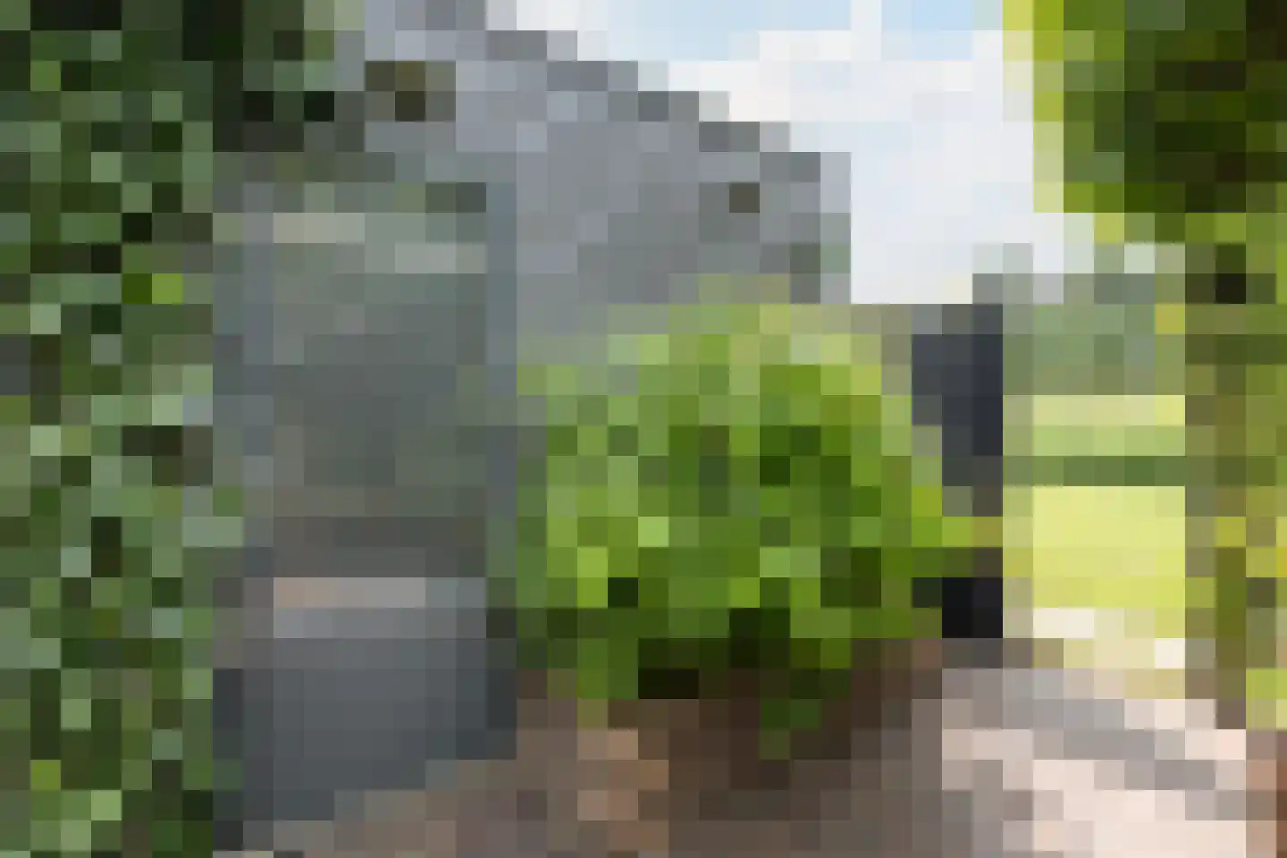 Akkermunt 154 Bodegraven thumbnail 72