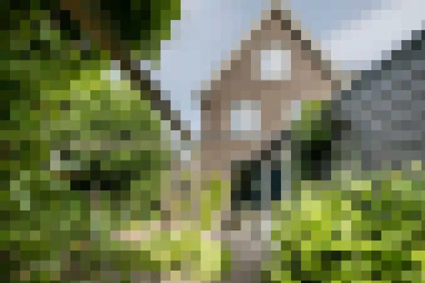 Akkermunt 154 Bodegraven thumbnail 73