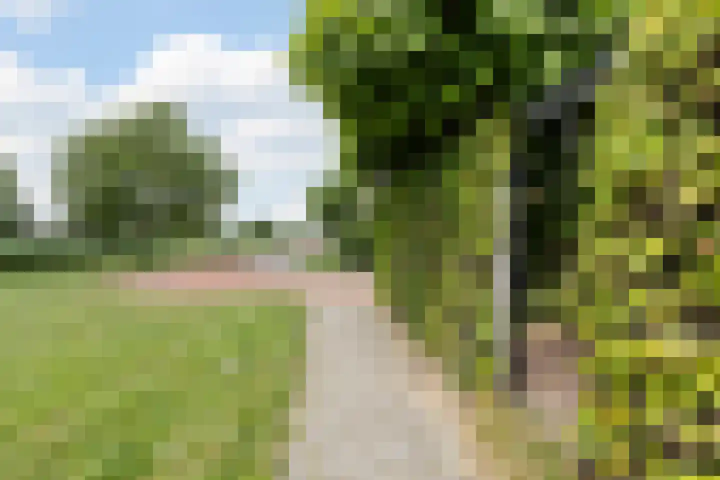 Akkermunt 154 Bodegraven thumbnail 75