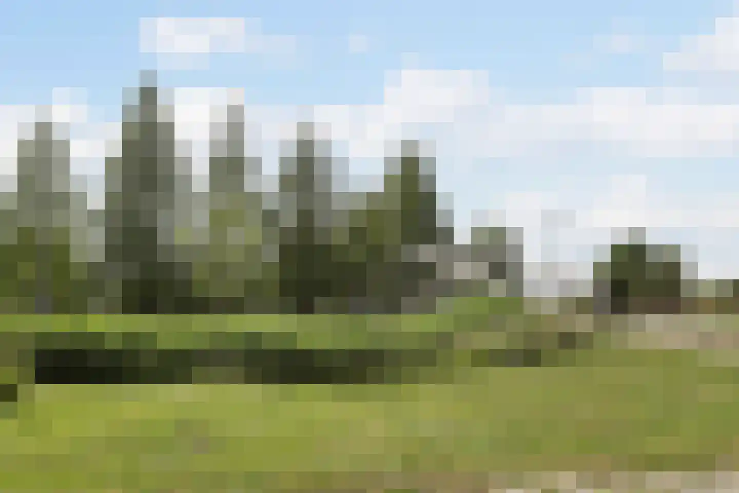 Akkermunt 154 Bodegraven thumbnail 78