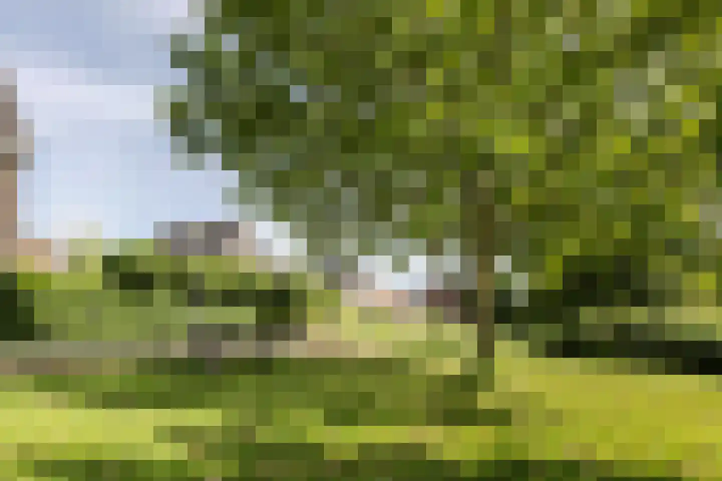 Akkermunt 154 Bodegraven thumbnail 81