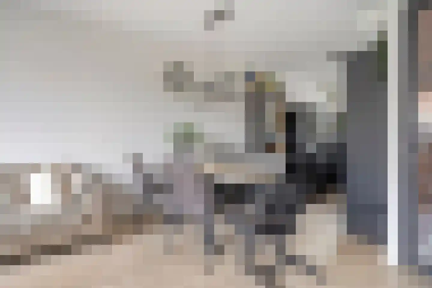 Akkermunt 20 Made thumbnail 11