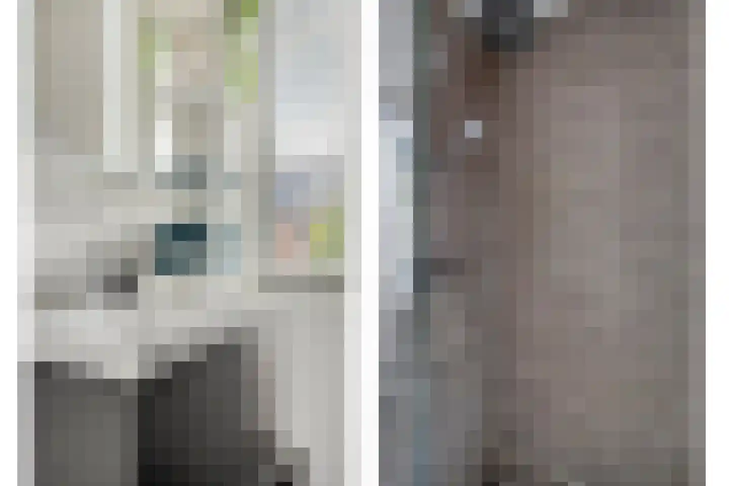 Akkermunt 20 Made thumbnail 18