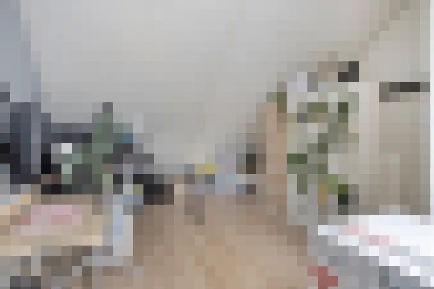 Akkermunt 20 Made thumbnail 25