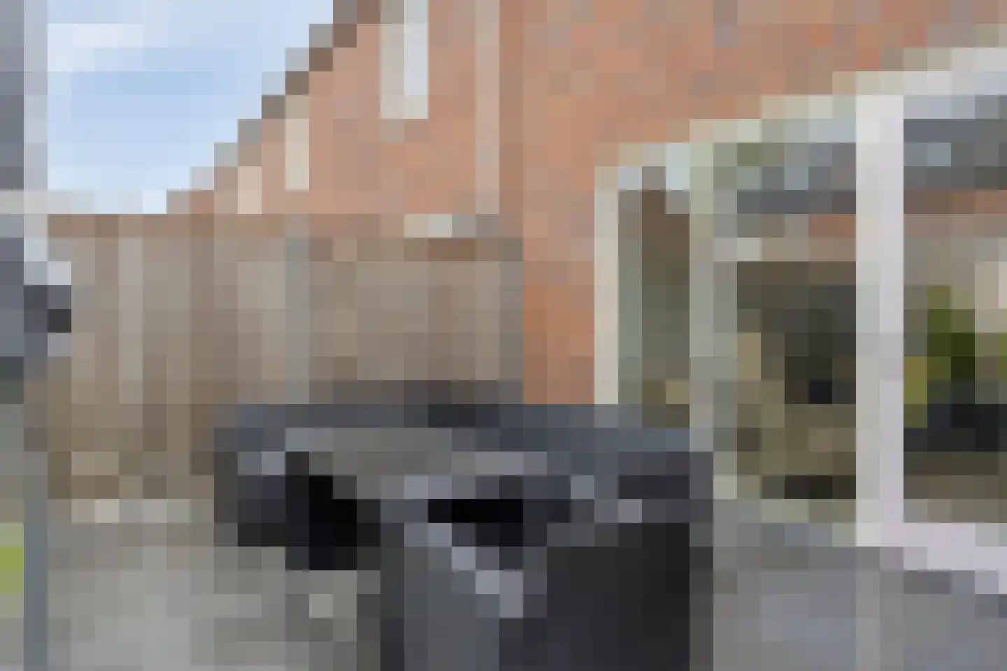 Akkermunt 20 Made thumbnail 26