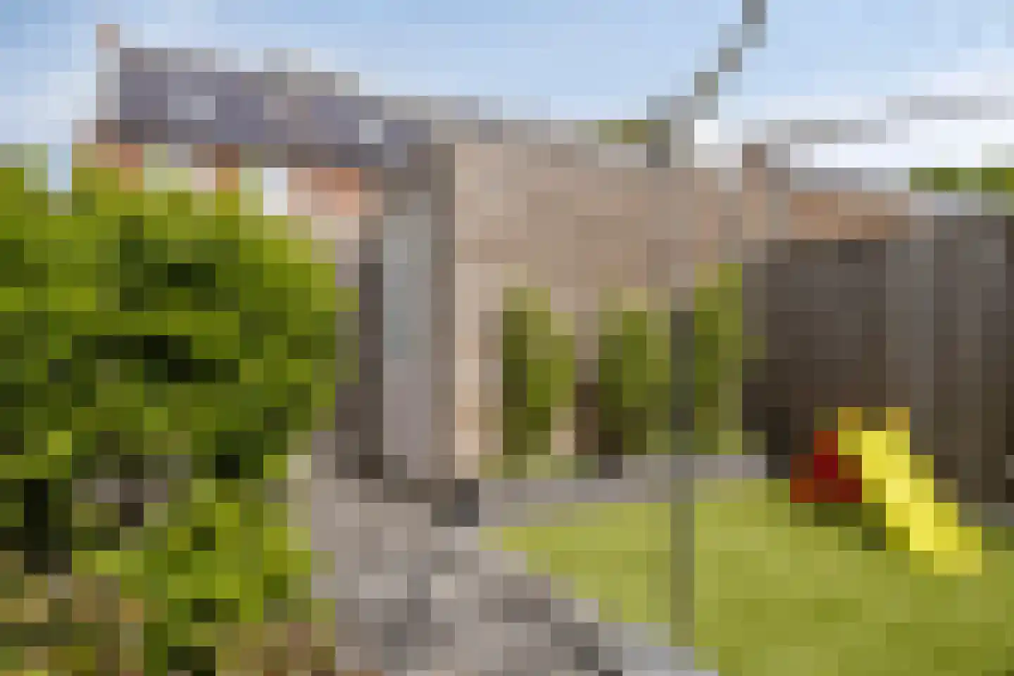 Akkermunt 20 Made thumbnail 27