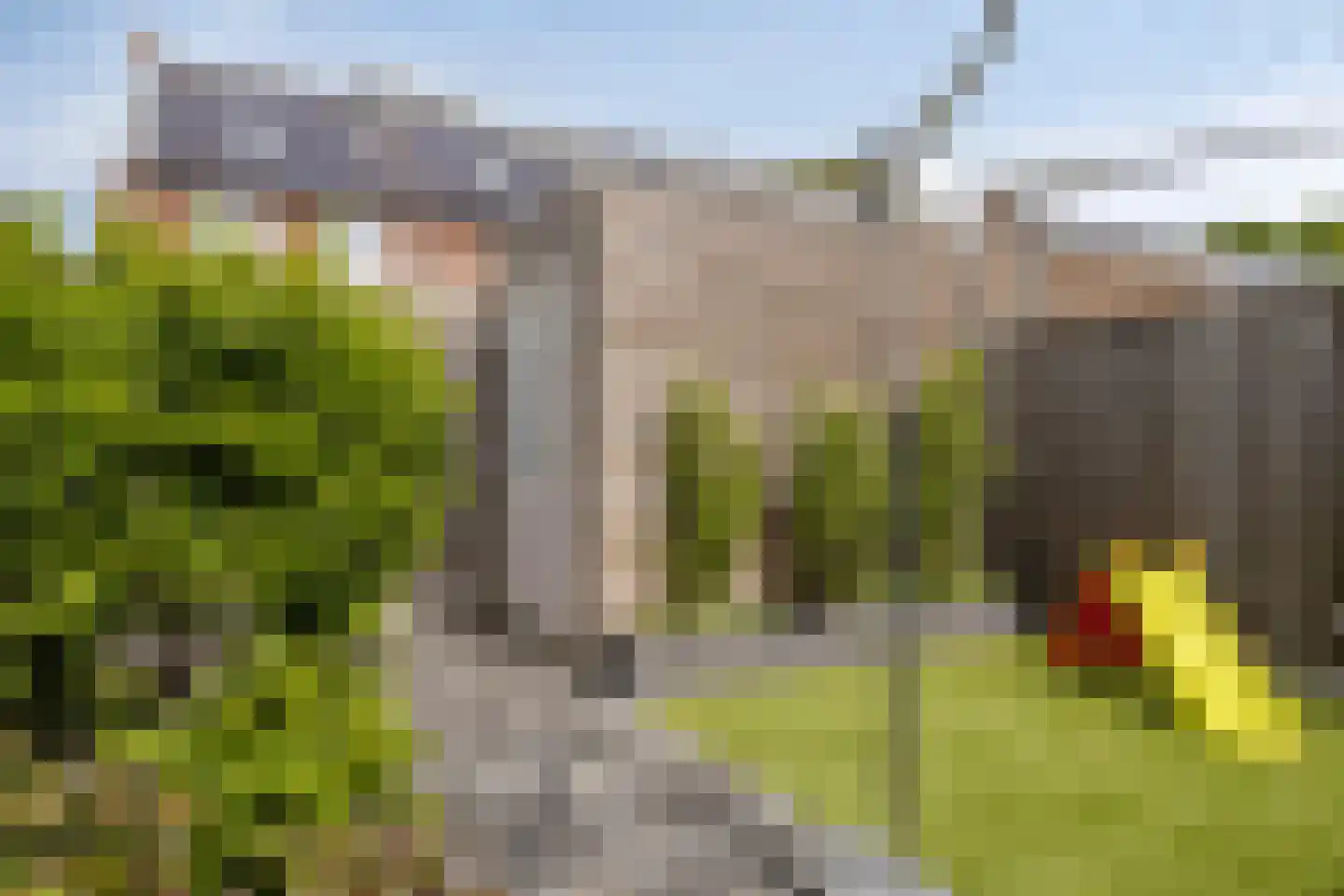 Akkermunt 20 Made thumbnail 28