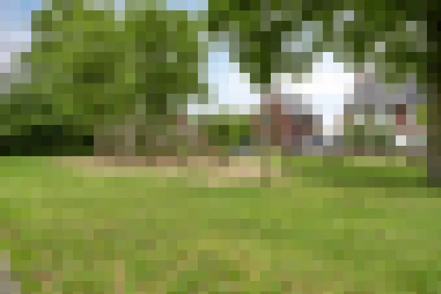 Akkermunt 20 Made thumbnail 31