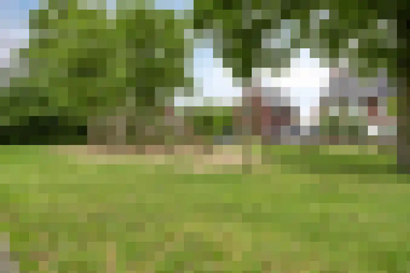 Akkermunt 20 Made thumbnail 32