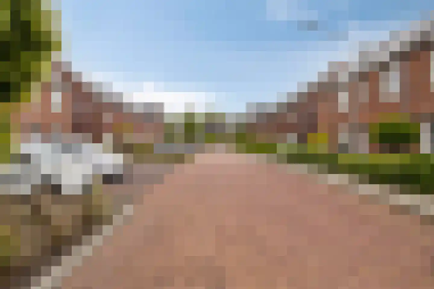 Akkermunt 20 Made thumbnail 5