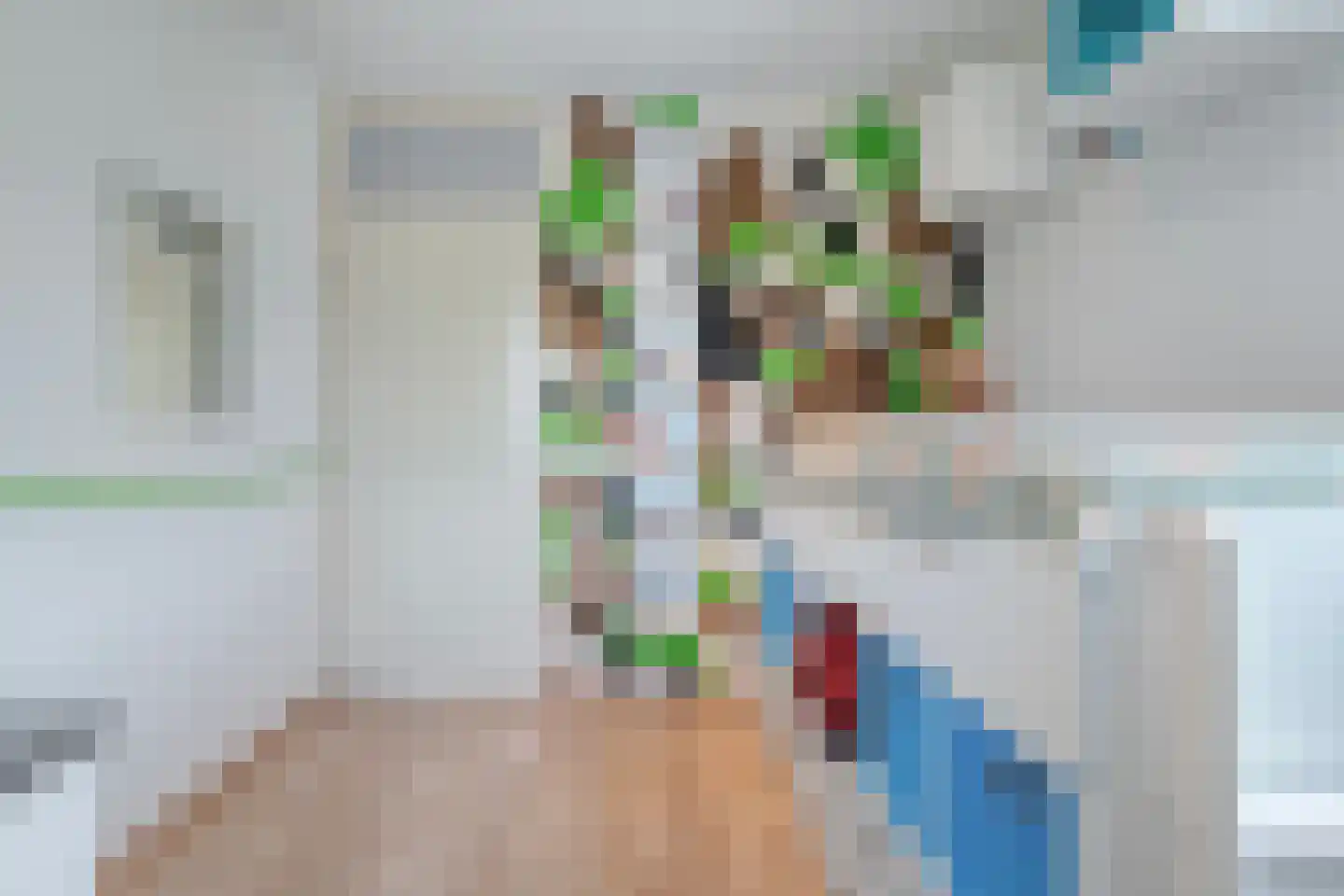 Akkermunt 30 Hardenberg thumbnail 27