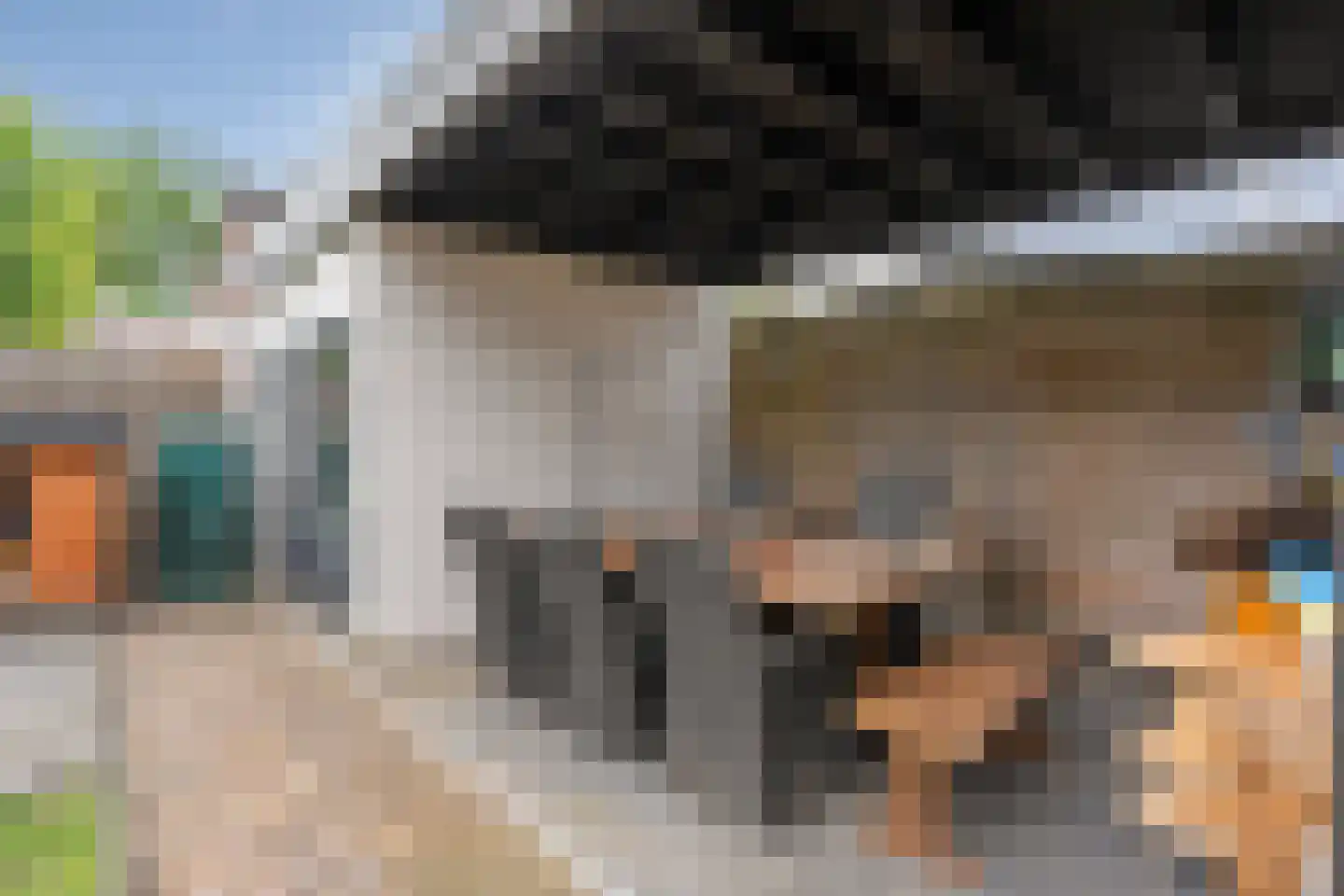 Akkermunt 30 Hardenberg thumbnail 38