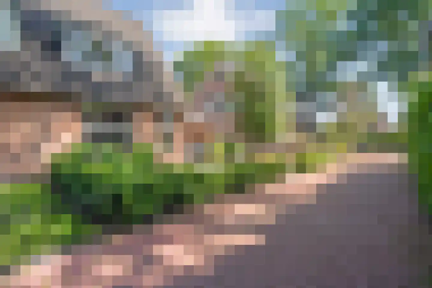 Akkermunt 56 Hardenberg thumbnail 4