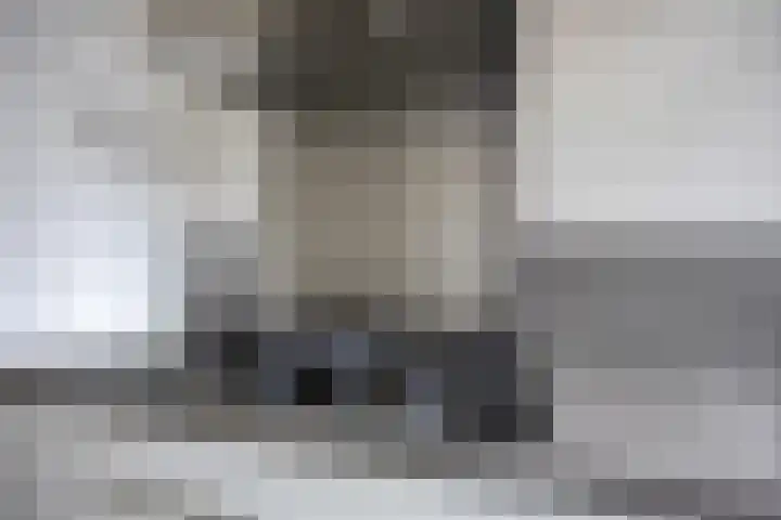 Akkermunt 57 Bodegraven thumbnail 20