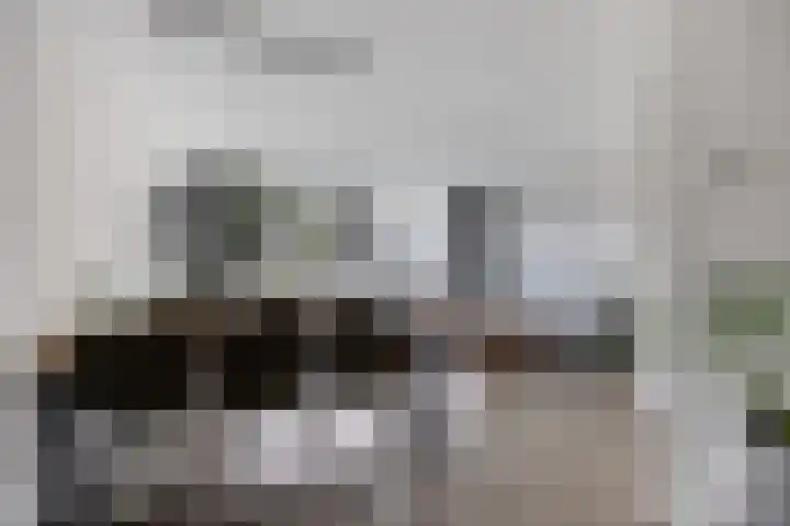 Akkermunt 57 Bodegraven thumbnail 22