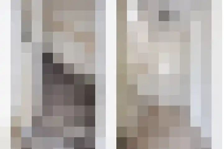 Akkermunt 57 Bodegraven thumbnail 23