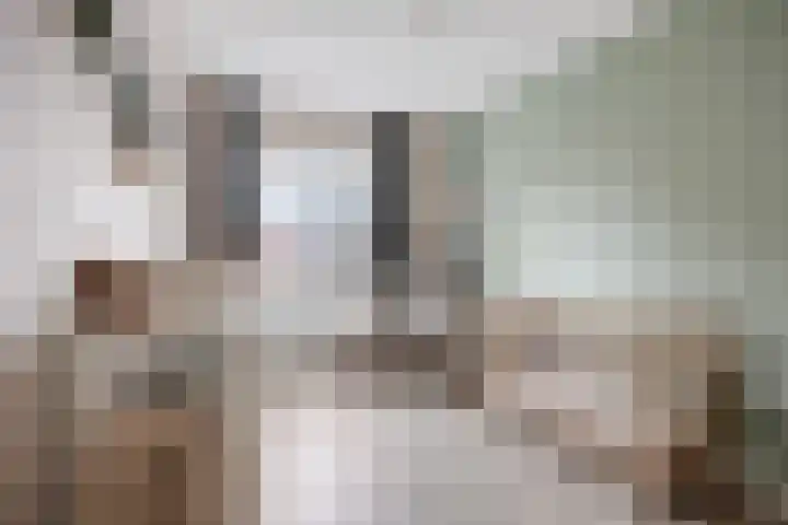 Akkermunt 57 Bodegraven thumbnail 26